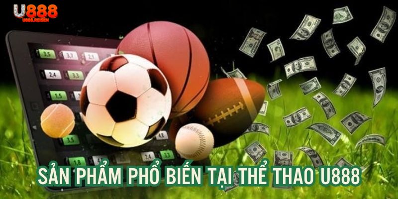 3 sản phẩm chất lượng được nhiều hội viên thử sức tại thể thao U888